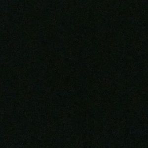 Meet your Posher, Rocky